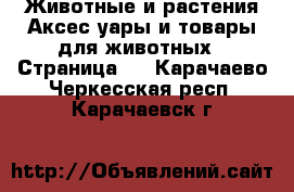 Животные и растения Аксесcуары и товары для животных - Страница 3 . Карачаево-Черкесская респ.,Карачаевск г.